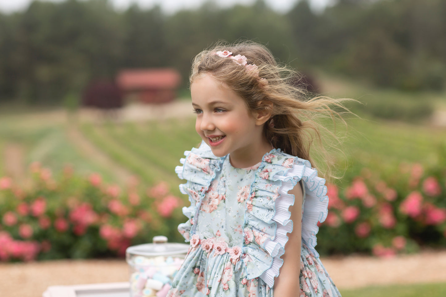 Vestido Rosas niña